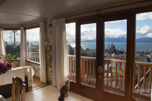 View from the dining room. Pancho is a lucky cat and he knows it. 