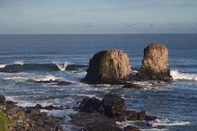 surf and snow road trip-30