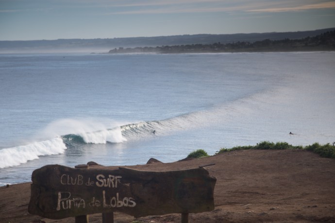 surf and snow road trip-33