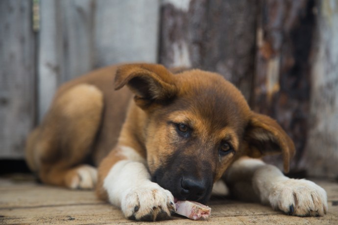 surf and snow road trip-34