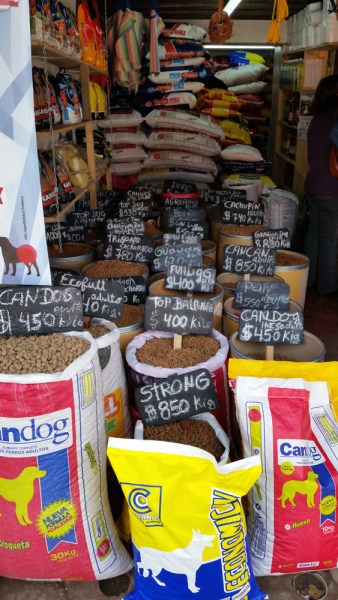 surf and snow road trip-40