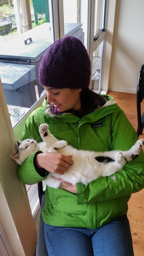 Donna and Queenie getting along well