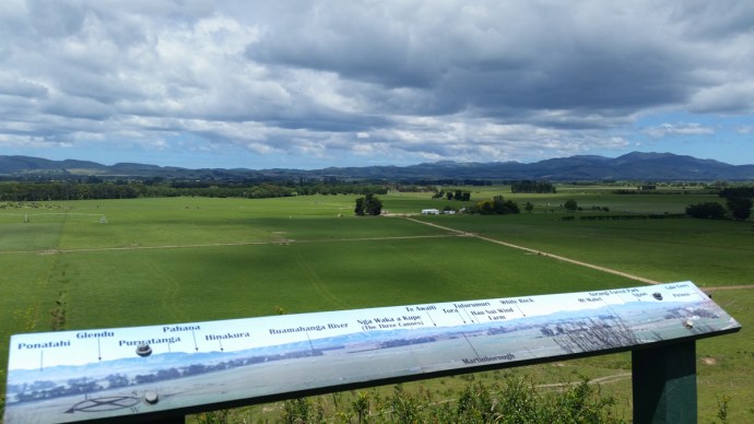 Fantastic New Zealand wine country: Martinborough & Masterton