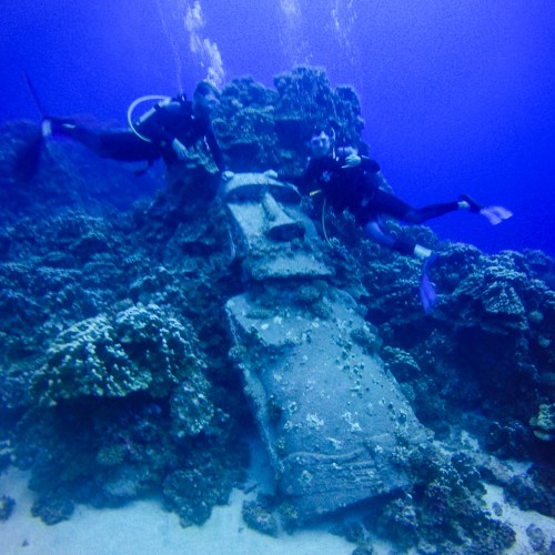 Scuba diving the sunken moai (no it is not a real moai, this one is from the set of a Kevin Costner movie called Rapa-Nui and was sunk as an attraction for divers)