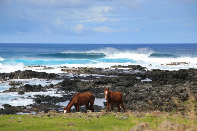 rapa nui part 2-3